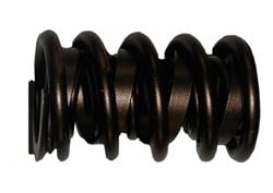 Picture of Isky Racing Cams 7005-12 in our Valve Springs Department